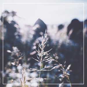 人伦片无码中文字幕
